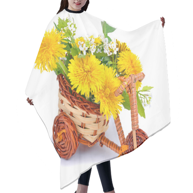 Personality  Dandelions Decoration In The Toy Bicycle Isolated On White Hair Cutting Cape