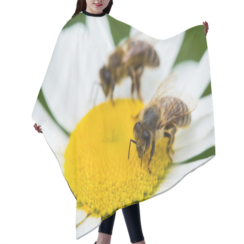 Personality  Bees Sucking Nectar Hair Cutting Cape