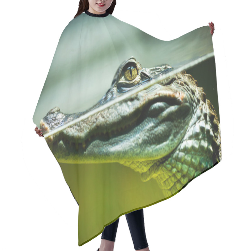 Personality  Caiman Crocodilus Hair Cutting Cape