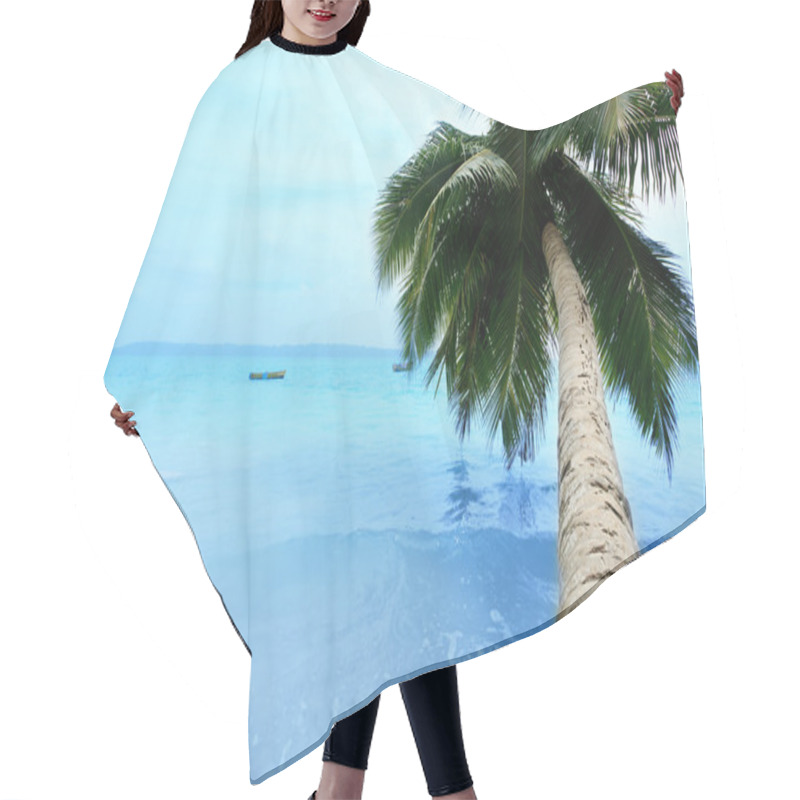 Personality  Coconut Palm Hair Cutting Cape