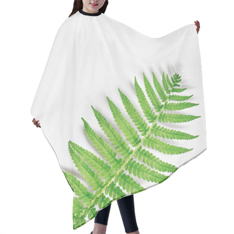 Personality  Fern On A White Background. Frame With Flowers, Branches, Leaves Hair Cutting Cape