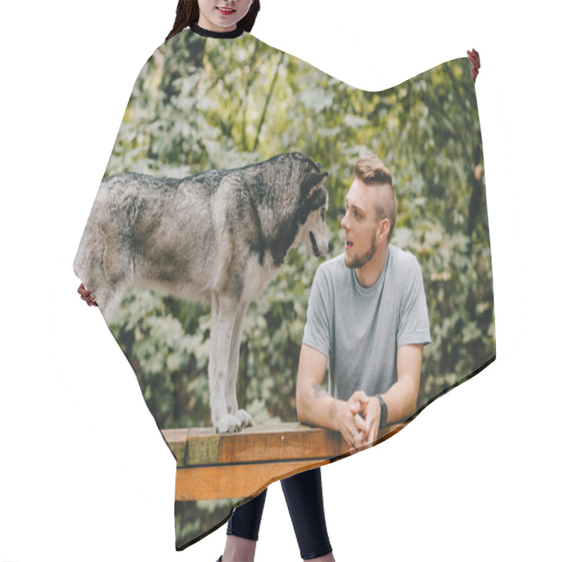 Personality  Handsome Man With Husky On Dog Walk Obstacle In Park Hair Cutting Cape