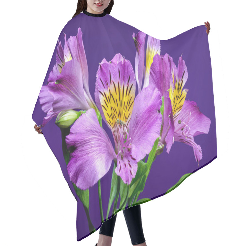 Personality  Vibrant Purple Alstroemeria Navarro Flowers With Yellow And Black Markings, Captured On A Purple Background Hair Cutting Cape