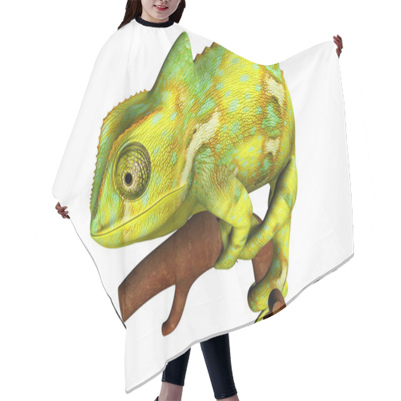 Personality  Chameleon Hair Cutting Cape