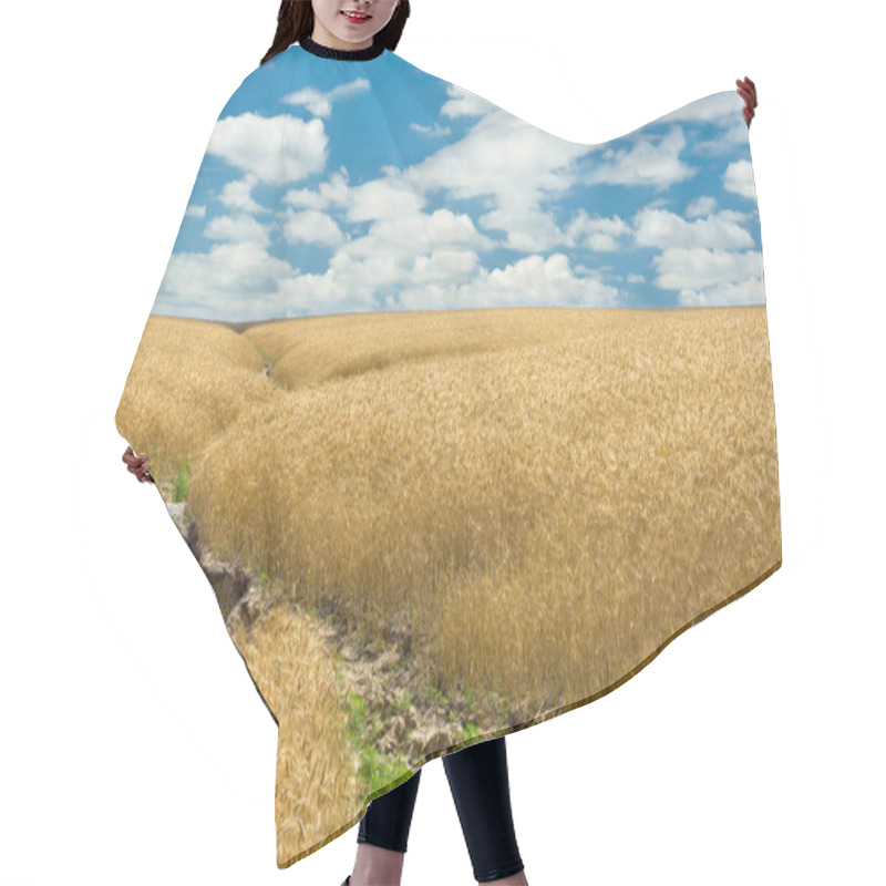 Personality  Summer, Wheat Field And Soil Erosion Hair Cutting Cape