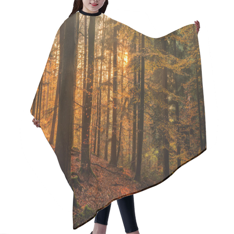 Personality  Black Forest Hair Cutting Cape