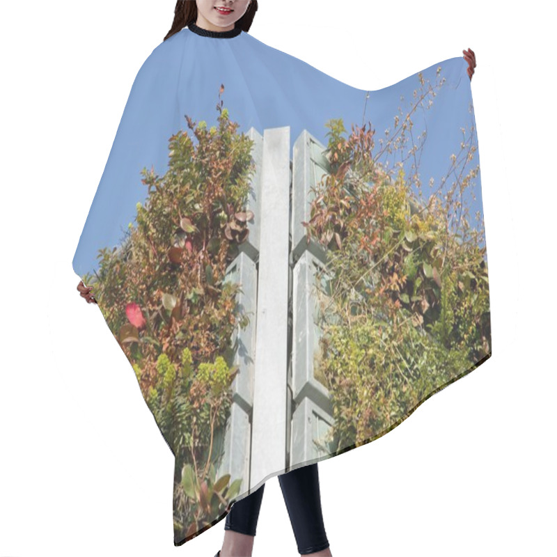 Personality  Green Wall Hair Cutting Cape