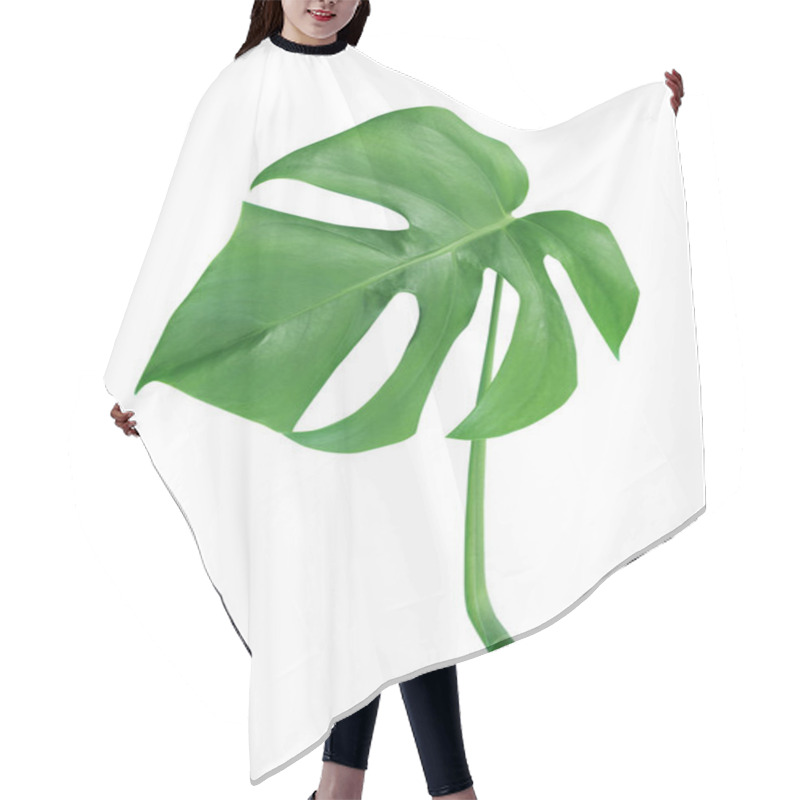 Personality  Monstera Leaves Isolated On White Background Hair Cutting Cape