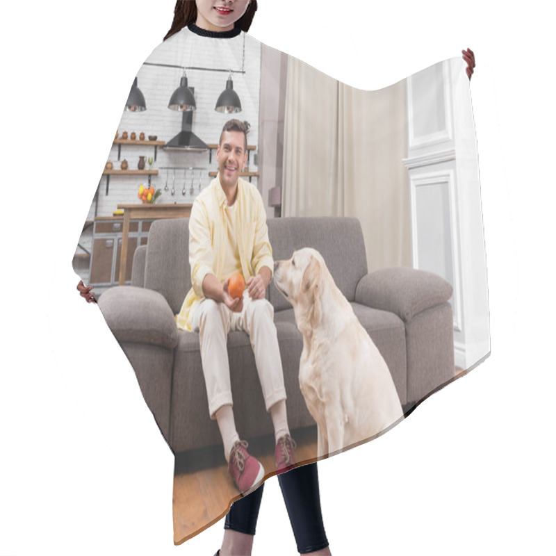 Personality  Cheerful Man Sitting On Couch And Holding Toy Ball Near Labrador Dog Hair Cutting Cape