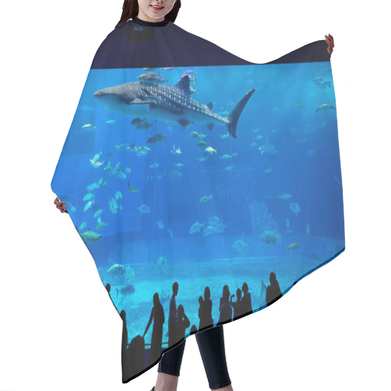 Personality  Okinawa Churaumi Aquarium   Hair Cutting Cape