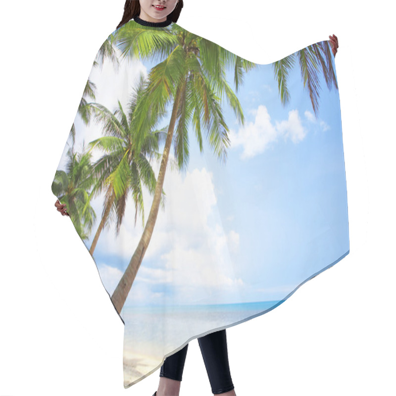 Personality  View Of Nice Tropical Beach With Some Palms Around Hair Cutting Cape