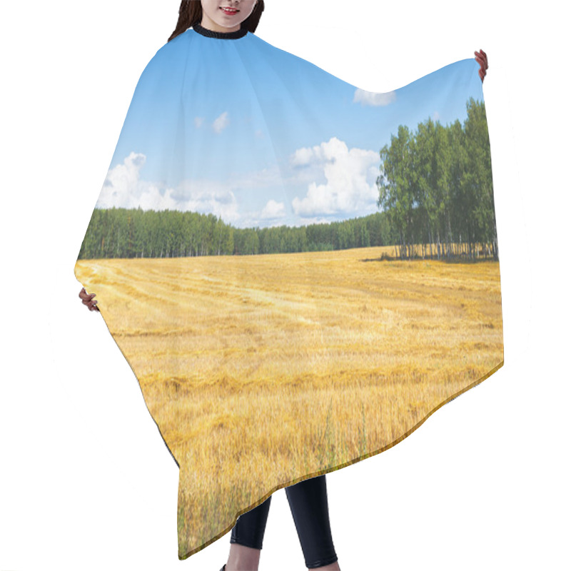 Personality  Farmers Field Hair Cutting Cape