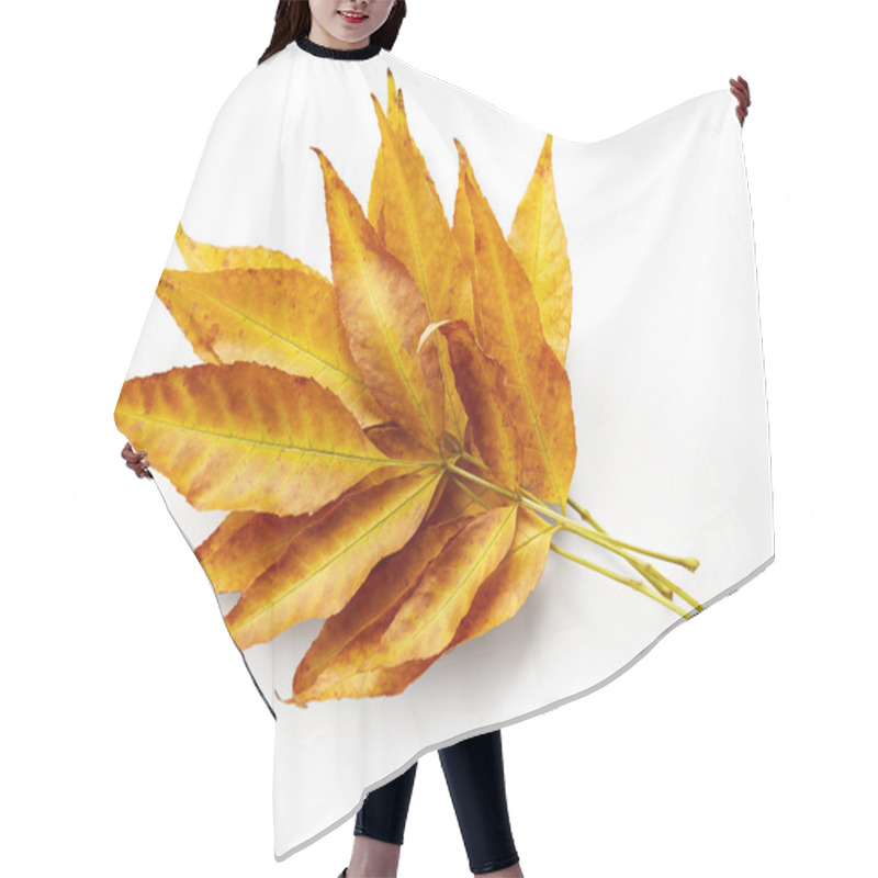 Personality  Autumn Leaves Hair Cutting Cape