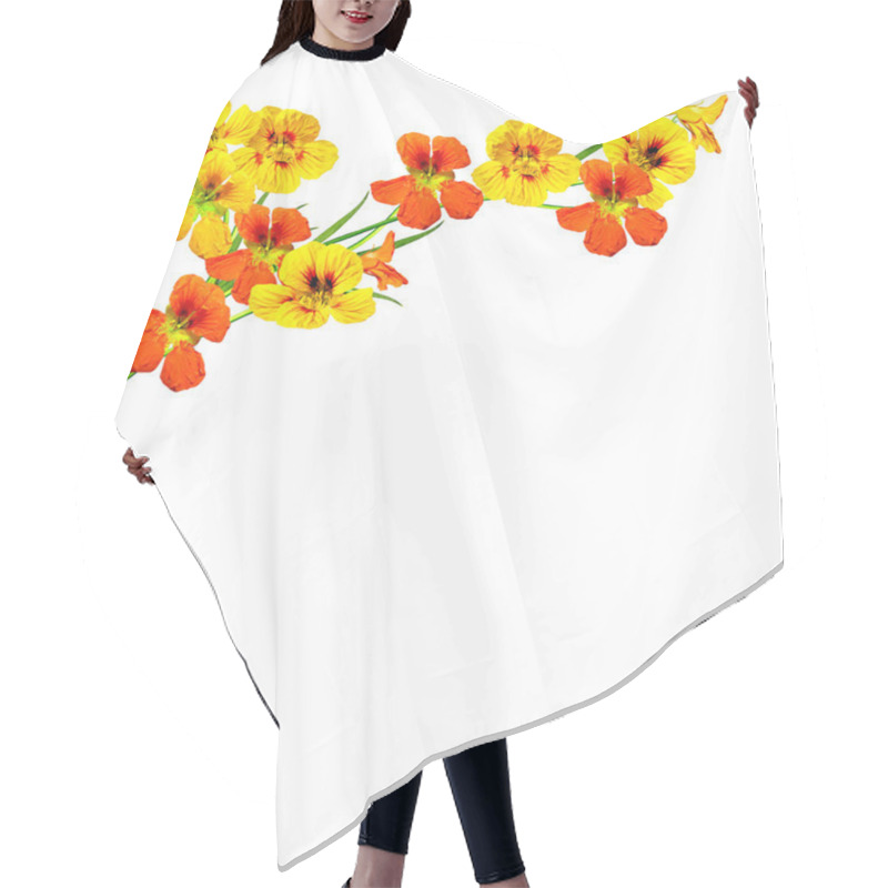 Personality  Nasturtium Flowers Isolated On White Background Hair Cutting Cape