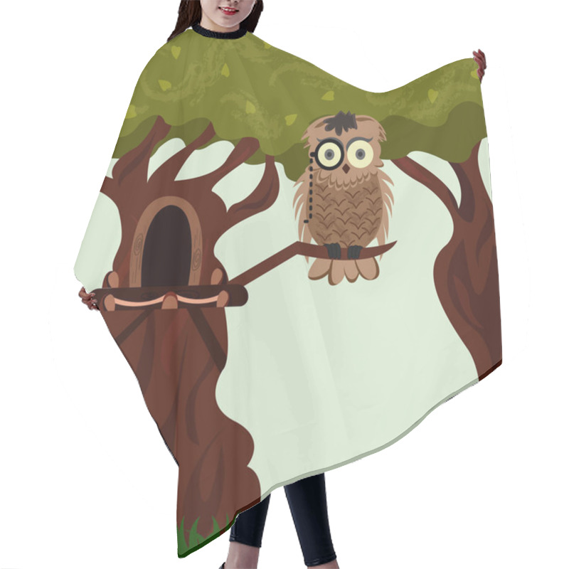 Personality  Owl Sitting On A Tree Branch Near A Hollow Day Light Cartoon Vector Hair Cutting Cape