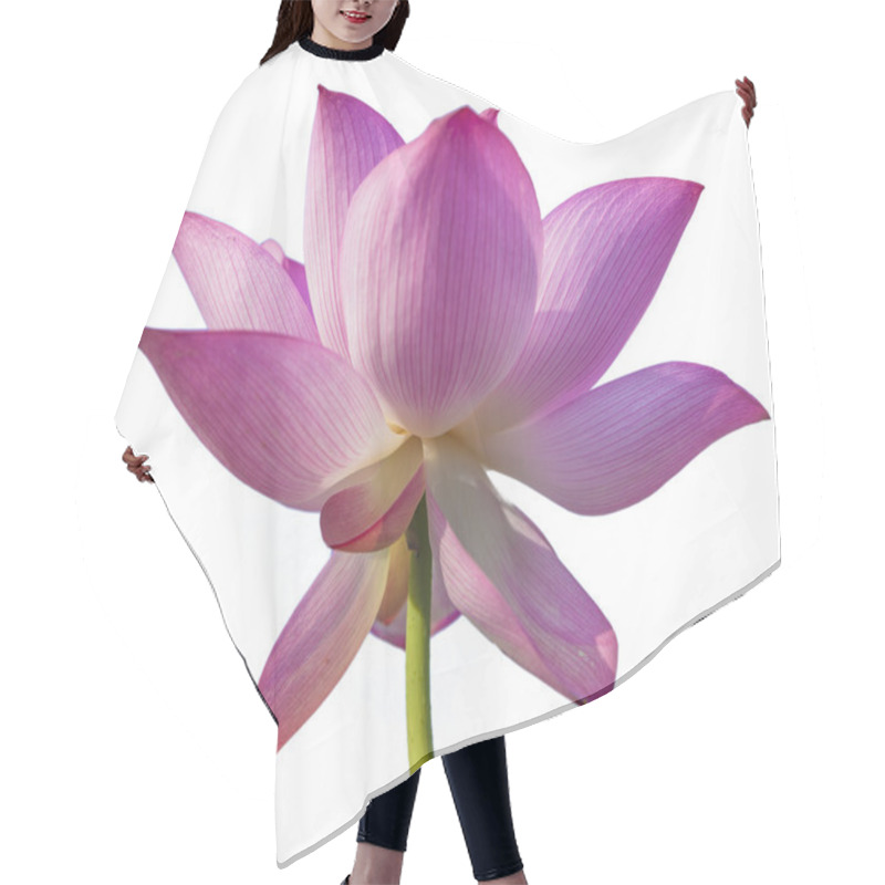 Personality  Lotus Flower Hair Cutting Cape