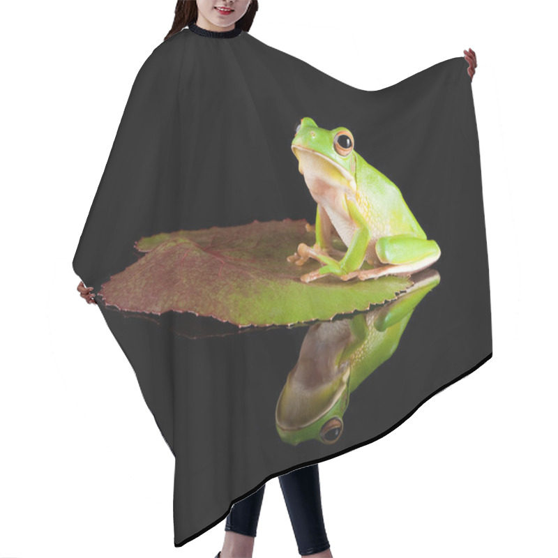 Personality  Reflected Tree Frog On Leaf Hair Cutting Cape