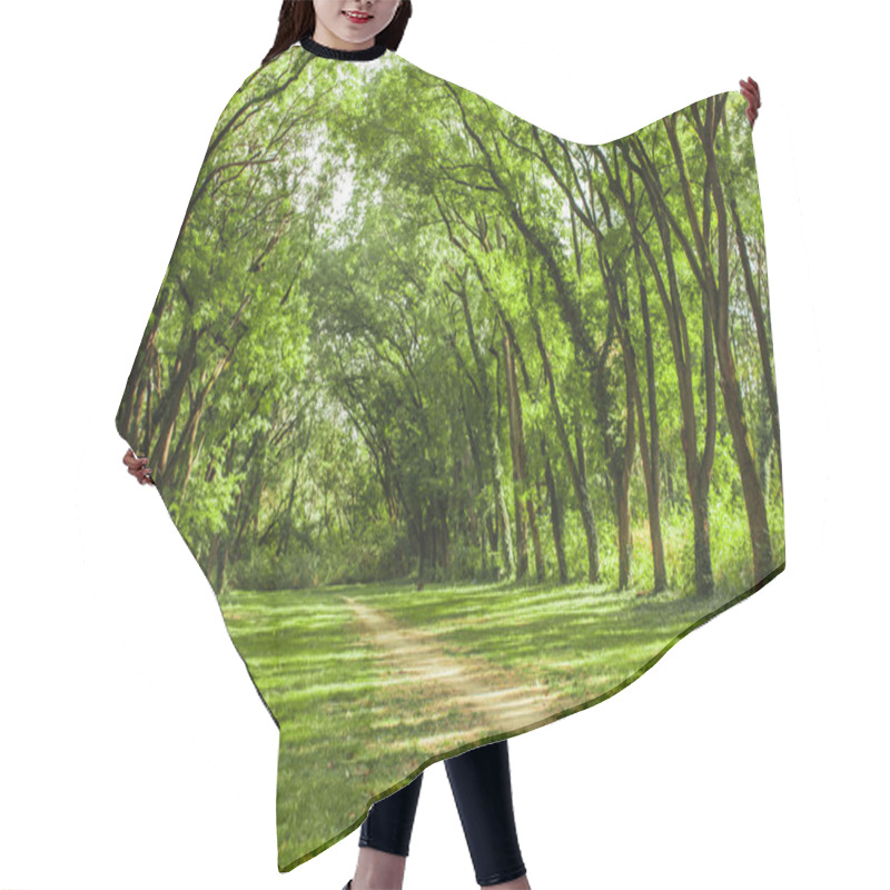 Personality  Fairytale Forest Landscape Hair Cutting Cape