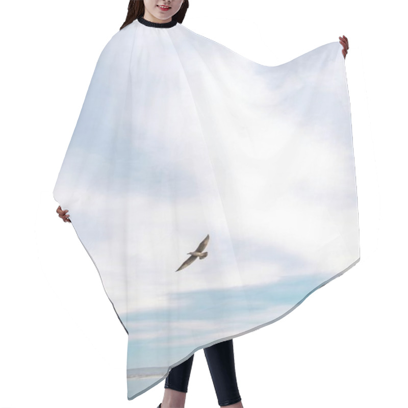 Personality  A Solitary Bird Soaring Gracefully Against A Bright Sky Over The Ocean. Hair Cutting Cape