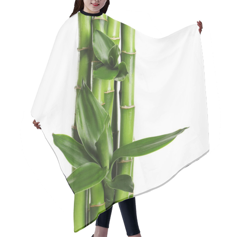 Personality  Green Bamboo Stems With Leaves On White Background Hair Cutting Cape