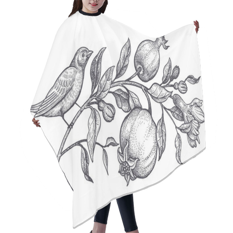 Personality  Decoration With Bird And Flowers. Realistic Hand Drawing Nightingale And Branch With Pomegranate Isolated On White Background. Vector Illustration Art. Black And White Sketch. Vintage Engraving. Hair Cutting Cape