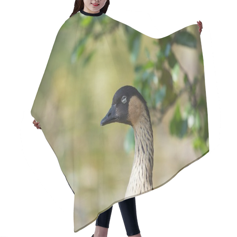 Personality  Hawaiian Goose Hair Cutting Cape