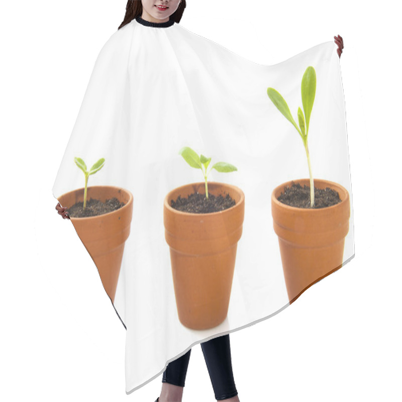 Personality  Growing Hair Cutting Cape