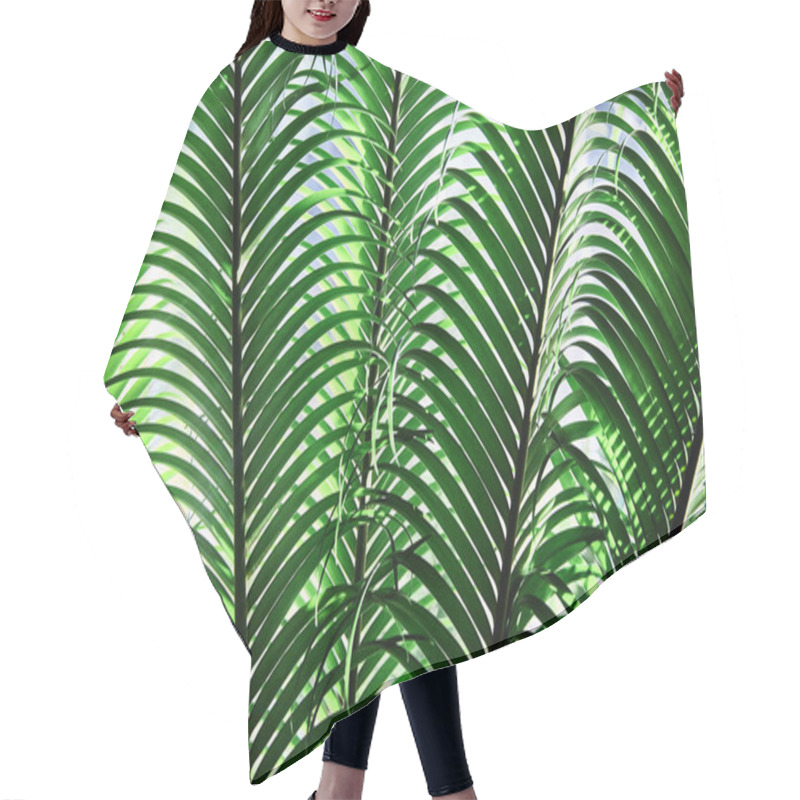 Personality  Green Tropical Leaves. Close-up. Background. Palm. Hair Cutting Cape