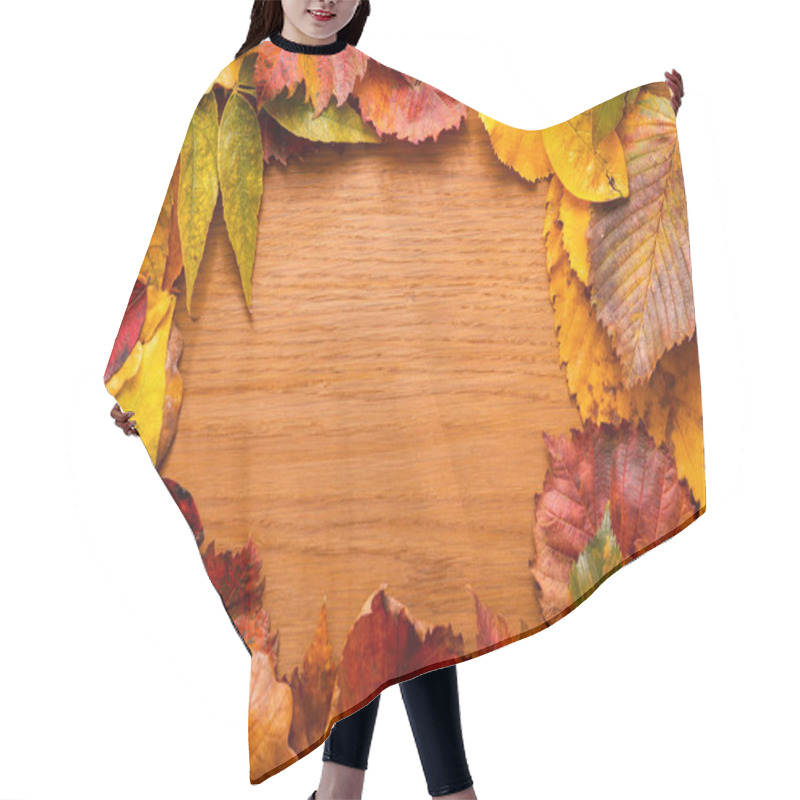 Personality  Bright Autumn Leaves. Red, Yellow, Green Leaves. Wooden Background. Leaf Frame. Close Up. Hair Cutting Cape