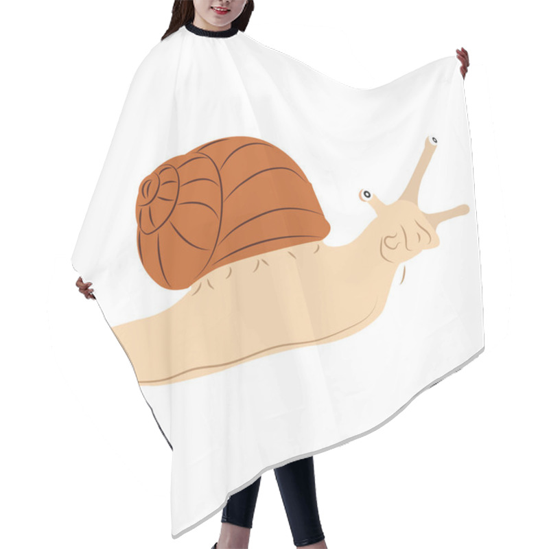 Personality  Snail Isolated On Transparent Background. Cartoon Snail Hair Cutting Cape