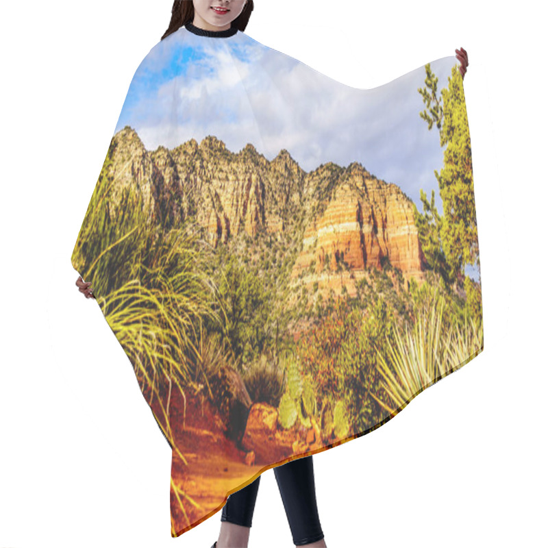 Personality  Cactus And Other Vegetation On The Red Rocks Of Coconino National Forest, With In The Background The Colorful Sandstone Of Cathedral Rock Near The Town Of Sedona In Northern Arizona , USA Hair Cutting Cape