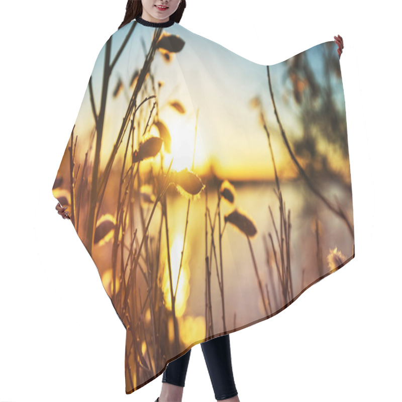 Personality  Sunny Day On The Flowers Meadow. Beautiful Natural Background. Hair Cutting Cape