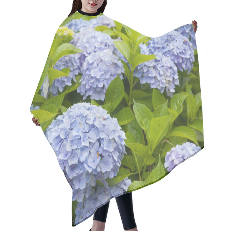 Personality  Beautiful Hydrangea Flower Hair Cutting Cape