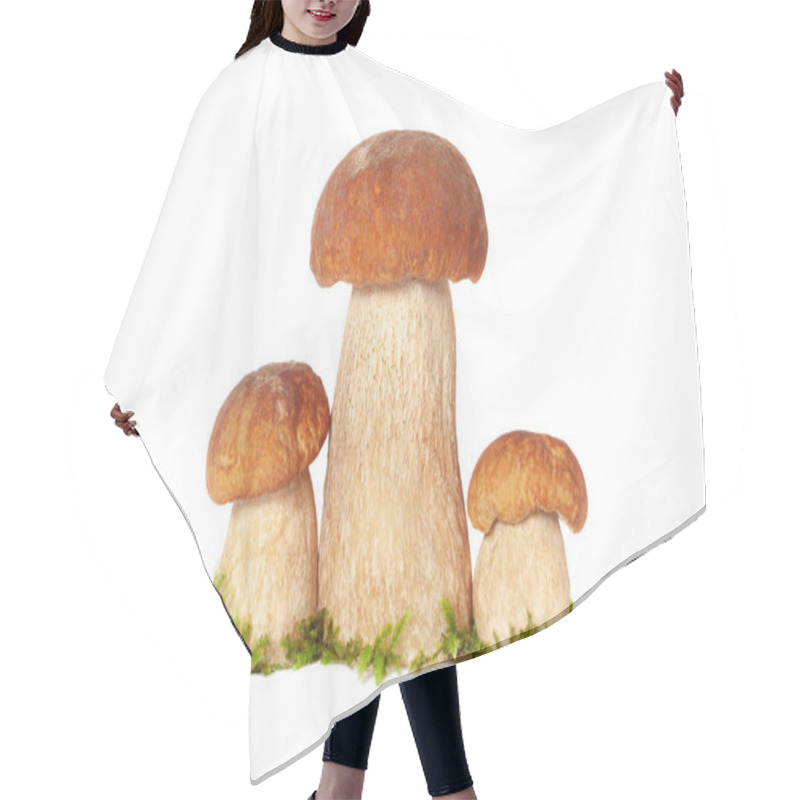 Personality  Three Forest King Boletus Mushrooms Isolated On White Hair Cutting Cape