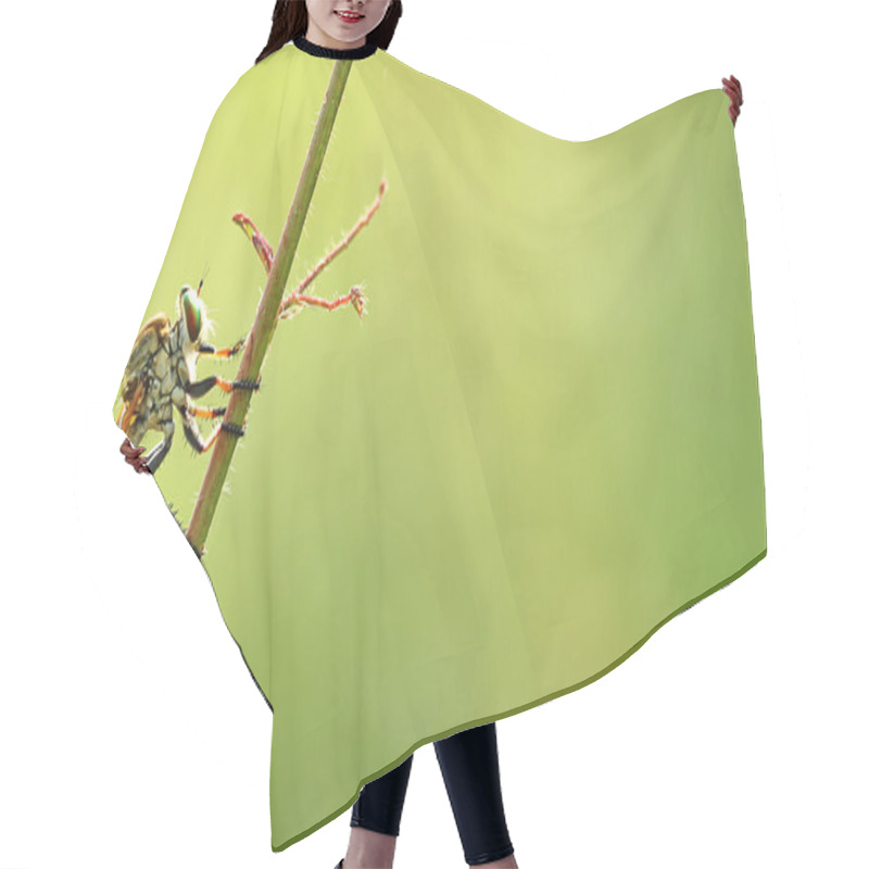 Personality  Macro Photography Hair Cutting Cape