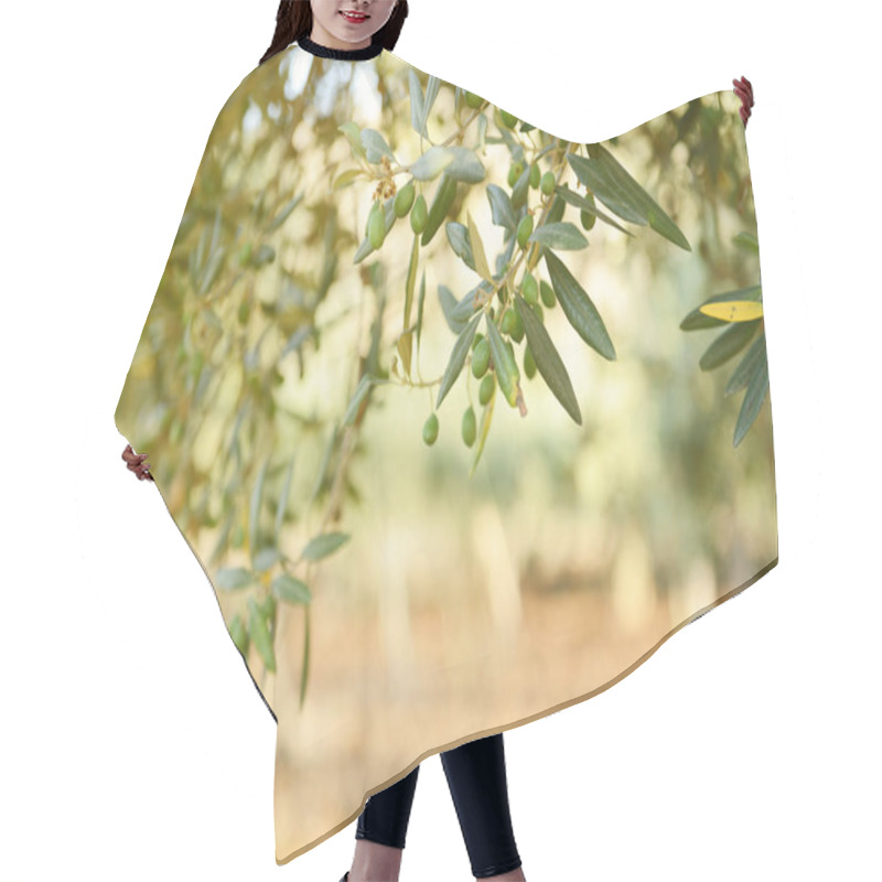 Personality  Green Olive Garden Hair Cutting Cape