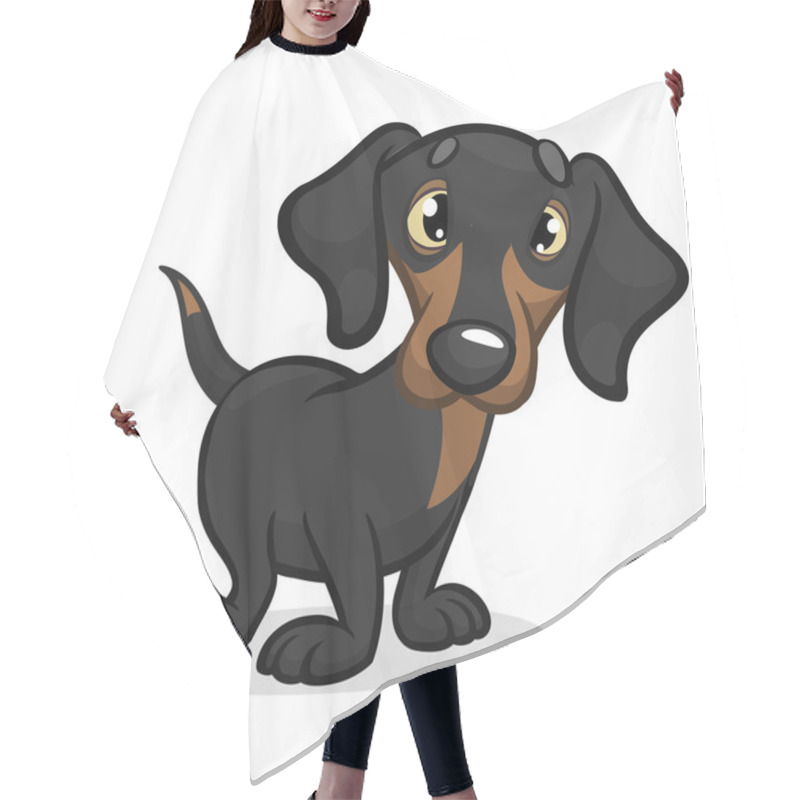 Personality  Cartoon Vector Illustration Of Cute Purebred Dachshund Dog. Isolated On White Background Hair Cutting Cape