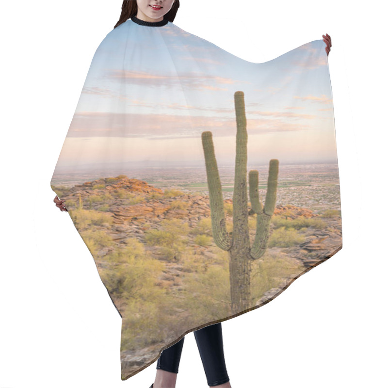 Personality  View Of Phoenix With  Saguaro Cactus Hair Cutting Cape