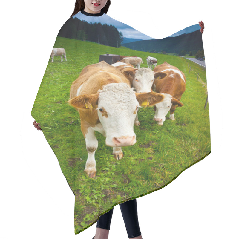 Personality  Cows Hair Cutting Cape