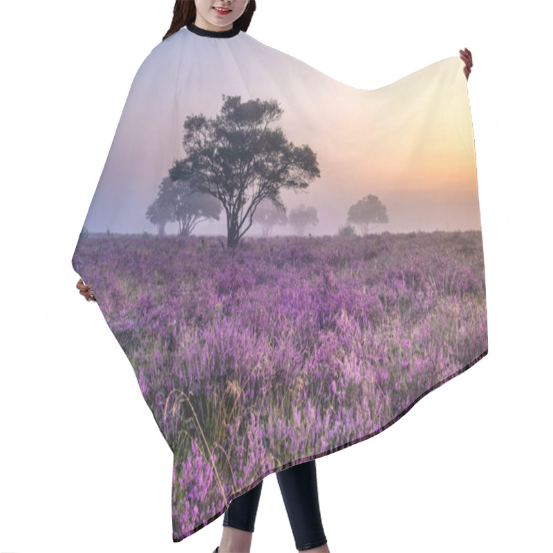 Personality  Blooming Heather Field In The Netherlands Near Hilversum Veluwe Zuiderheide, Blooming Pink Purple Heather Fields In The Morniong With Mist And Fog During Sunrise Hair Cutting Cape