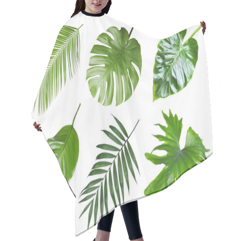 Personality  Set With Beautiful Fern And Other Tropical Leaves On White Background  Hair Cutting Cape