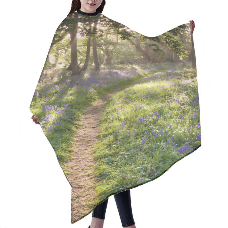 Personality  Bluebell Woodland Path With Dreamy Sunrise Hair Cutting Cape