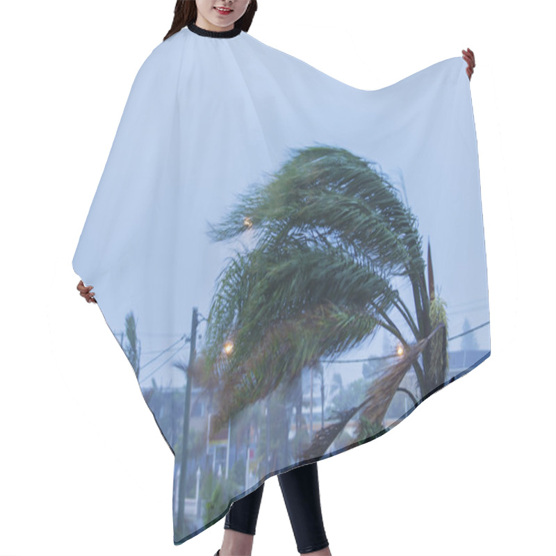 Personality  Palm Tree In Wind Hair Cutting Cape