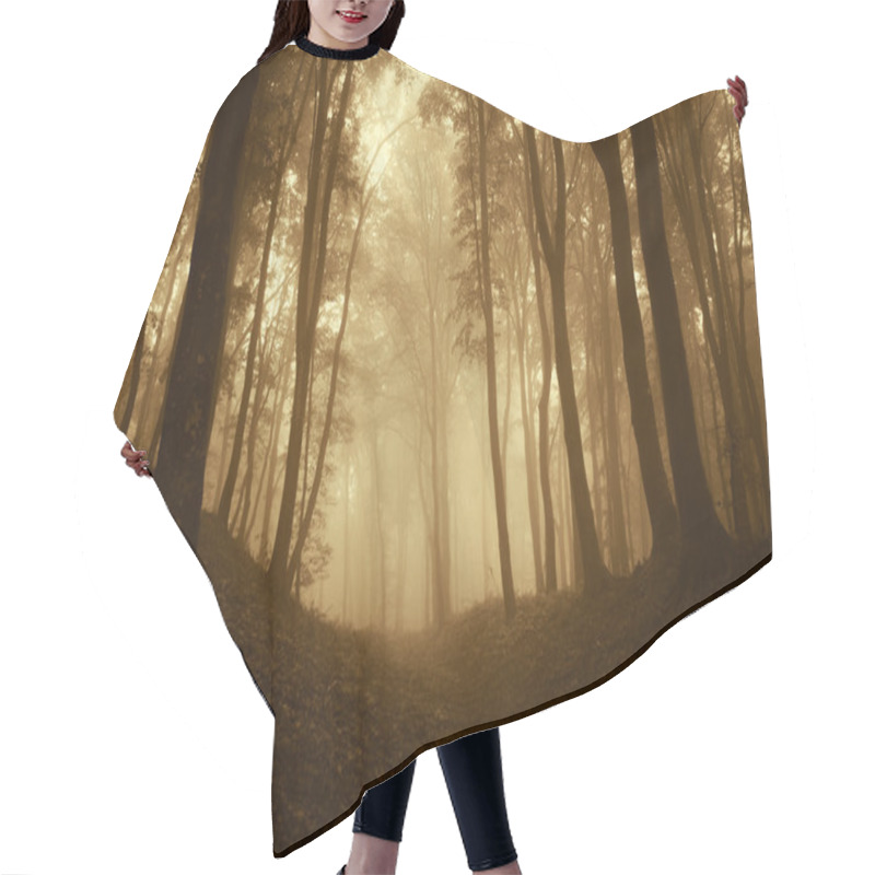 Personality  Dark Mysterious Fantasy Like Forest With Fog In Late Autumn Hair Cutting Cape