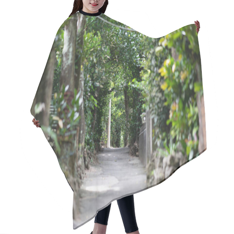 Personality  Tree Lined Street In Okinawa Hair Cutting Cape