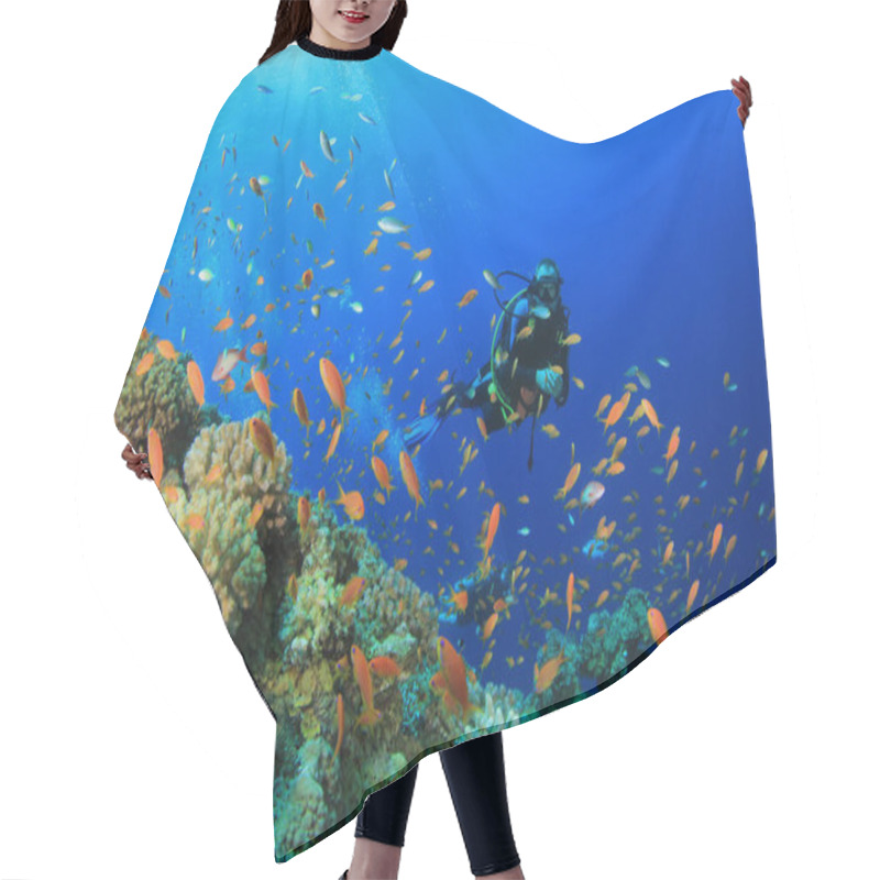 Personality  Underwater Photo Of Diver In The Depth Of Blue Sea Hair Cutting Cape