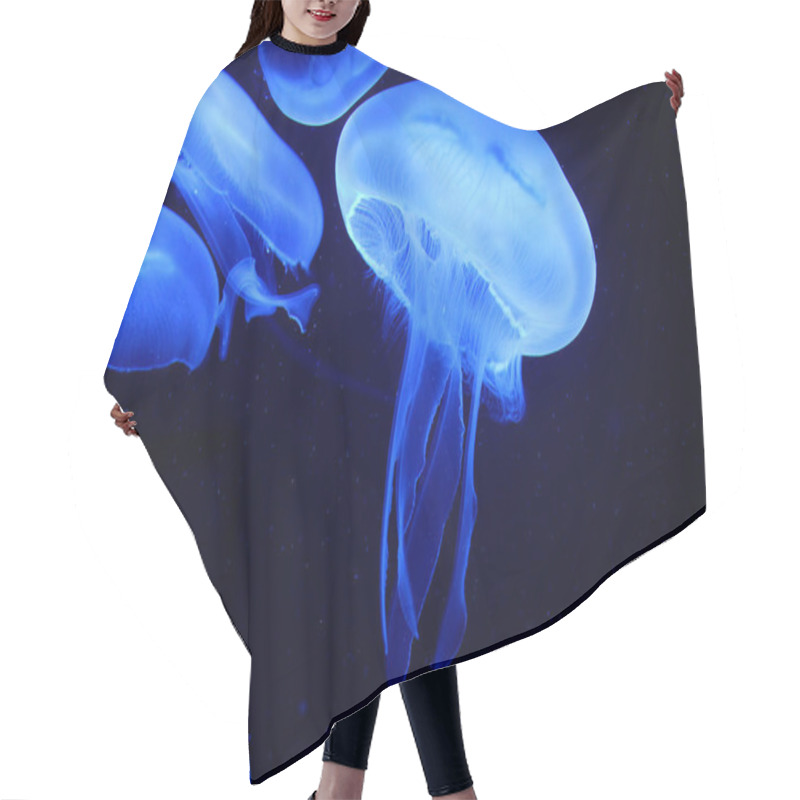 Personality  Jellyfish, Sea Underwater Fauna Hair Cutting Cape