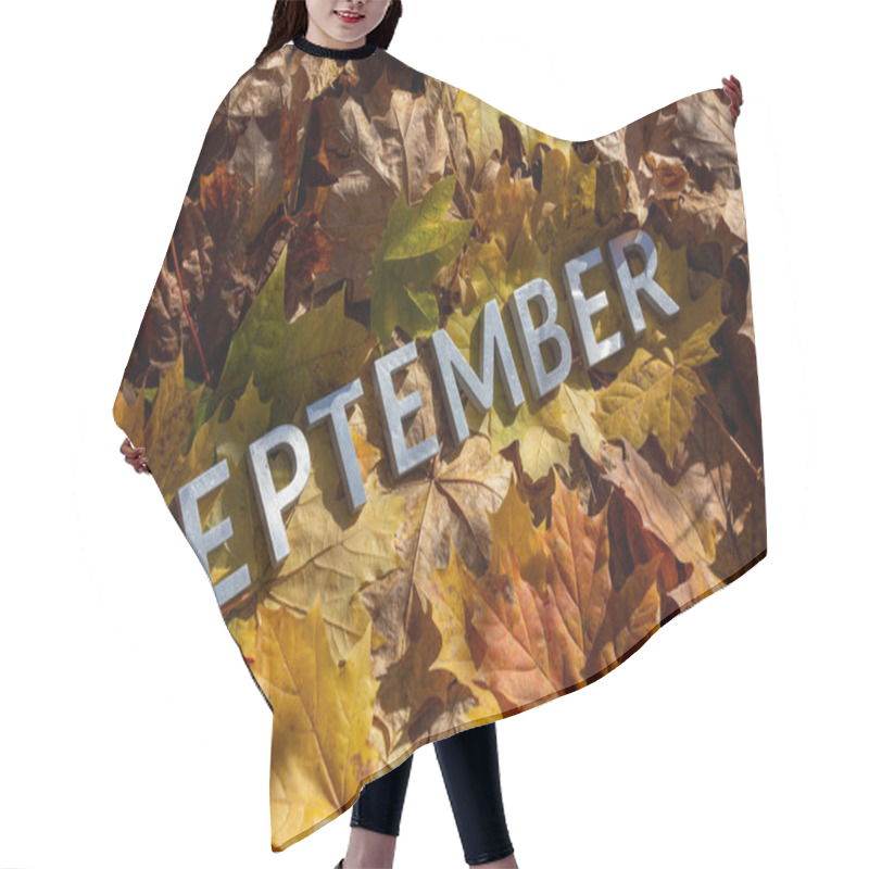 Personality  Word September Laid With Silver Metal Letters On Fallen Maple Leaves On Autumn Forest Floor Under Direct Sunlight Hair Cutting Cape