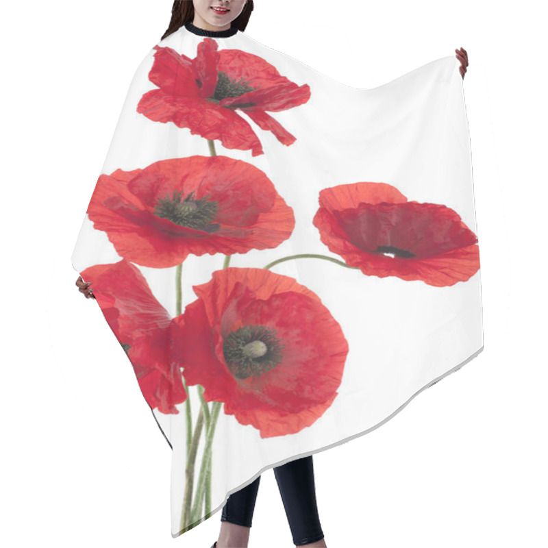 Personality  Poppy Hair Cutting Cape