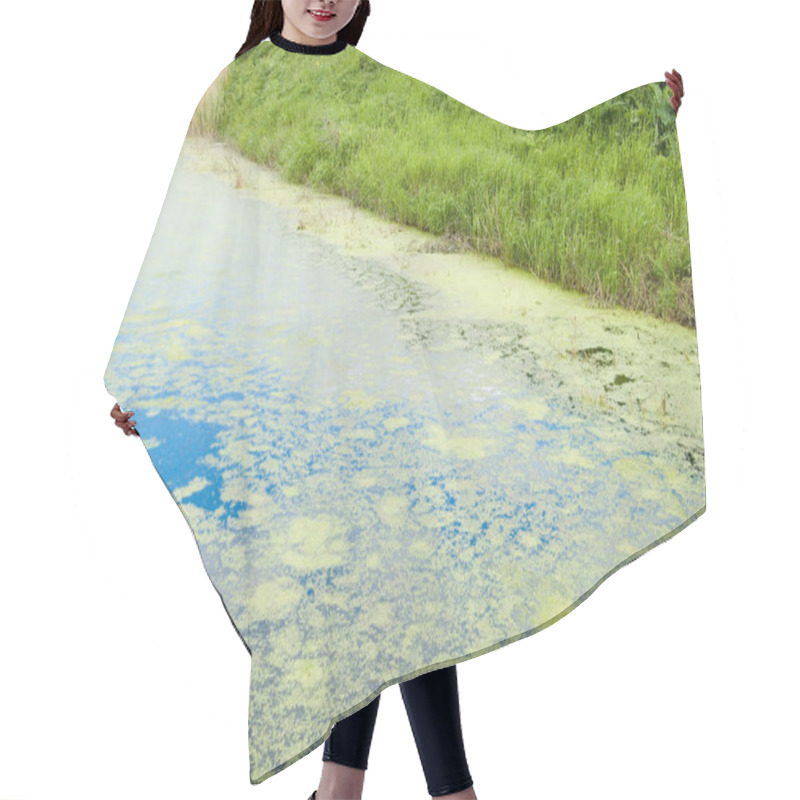 Personality  Green Swamp Hair Cutting Cape